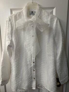 Dainty Jewells XL long sleeve blouse; fully lined & overlayed w/sheer Swiss Dot